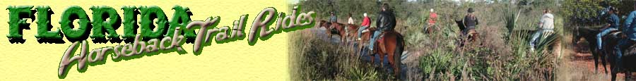 Florida Horseback Trail Rides